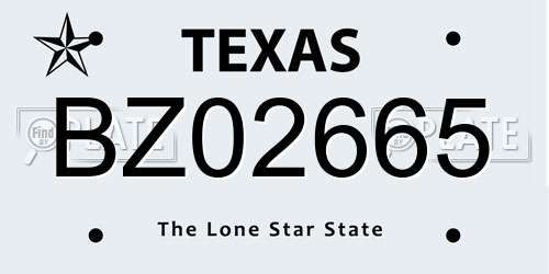 BZ02665 Texas License Plate