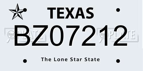 BZ07212 Texas License Plate
