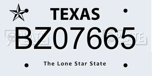 BZ07665 Texas License Plate