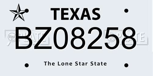 BZ08258 Texas License Plate