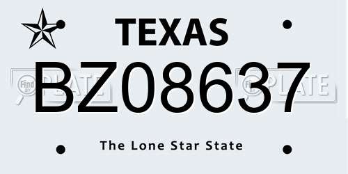 BZ08637 Texas License Plate