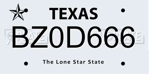 BZ0D666 Texas License Plate