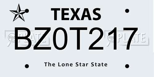 BZ0T217 Texas License Plate