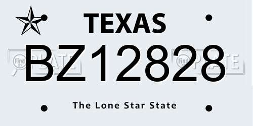 BZ12828 Texas License Plate