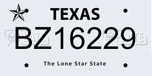 BZ16229 Texas License Plate