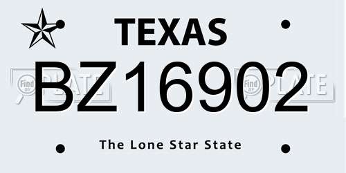 BZ16902 Texas License Plate