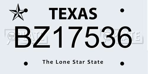 BZ17536 Texas License Plate