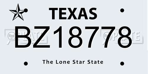 BZ18778 Texas License Plate
