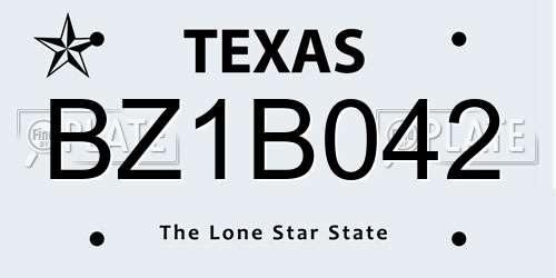 BZ1B042 Texas License Plate