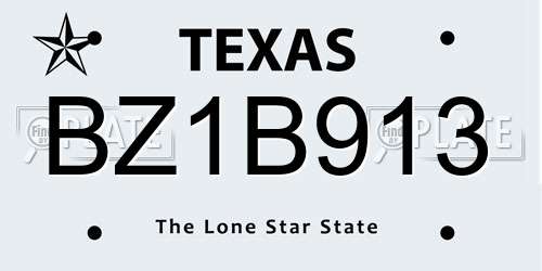BZ1B913 Texas License Plate