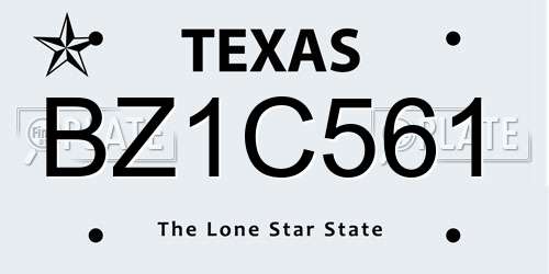 BZ1C561 Texas License Plate