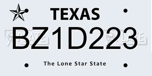 BZ1D223 Texas License Plate