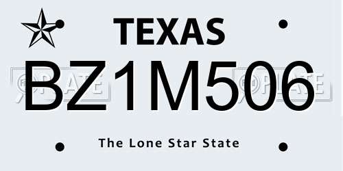 BZ1M506 Texas License Plate