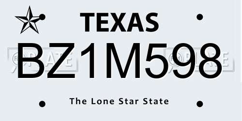 BZ1M598 Texas License Plate