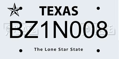 BZ1N008 Texas License Plate