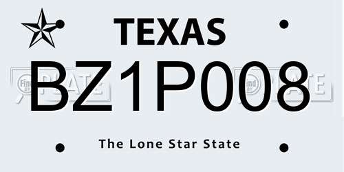 BZ1P008 Texas License Plate