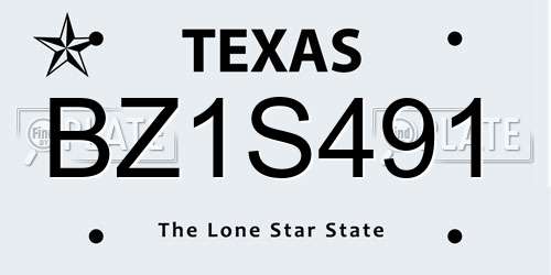 BZ1S491 Texas License Plate