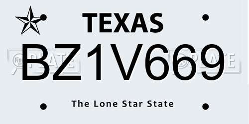 BZ1V669 Texas License Plate