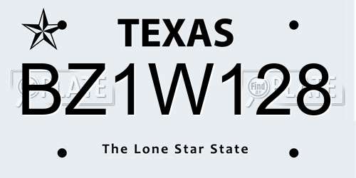 BZ1W128 Texas License Plate