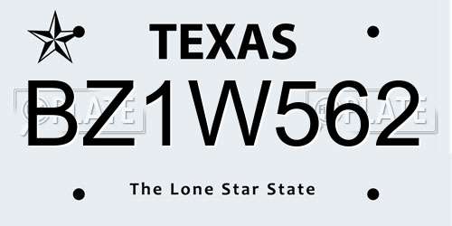 BZ1W562 Texas License Plate