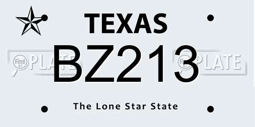 BZ213 Texas License Plate