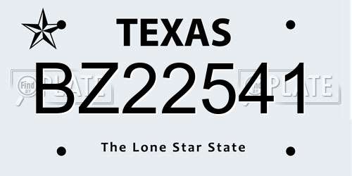 BZ22541 Texas License Plate