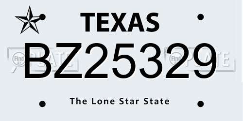 BZ25329 Texas License Plate