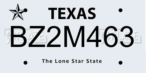BZ2M463 Texas License Plate