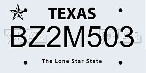 BZ2M503 Texas License Plate