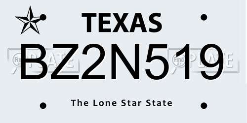 BZ2N519 Texas License Plate