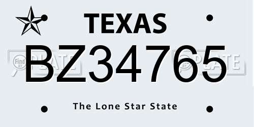 BZ34765 Texas License Plate