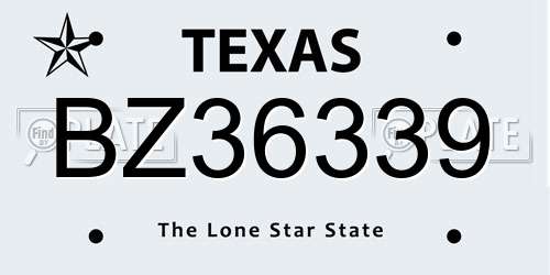 BZ36339 Texas License Plate