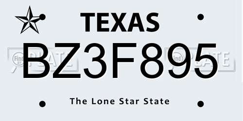 BZ3F895 Texas License Plate