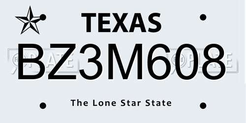 BZ3M608 Texas License Plate