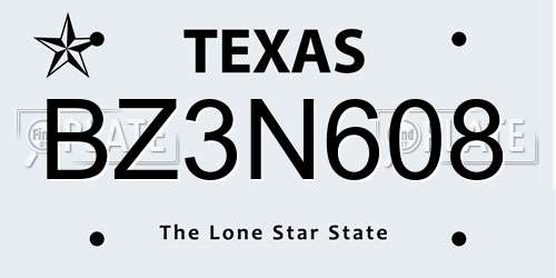 BZ3N608 Texas License Plate