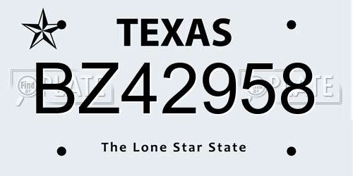 BZ42958 Texas License Plate