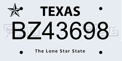 BZ43698 Texas License Plate