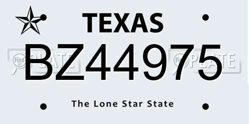 BZ44975 Texas License Plate