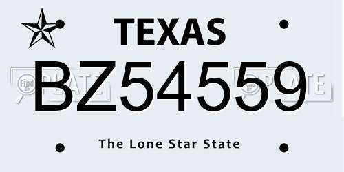BZ54559 Texas License Plate