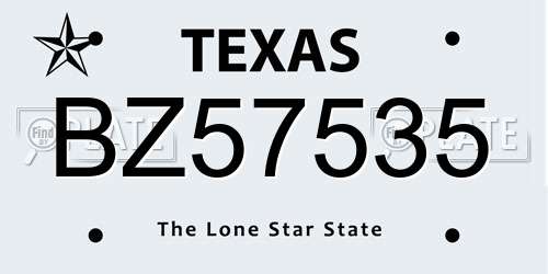 BZ57535 Texas License Plate