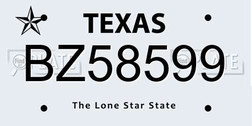 BZ58599 Texas License Plate