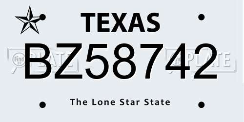 BZ58742 Texas License Plate
