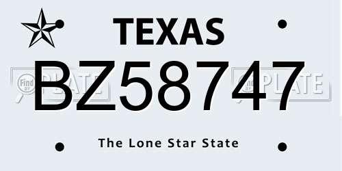BZ58747 Texas License Plate