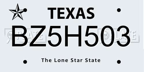 BZ5H503 Texas License Plate