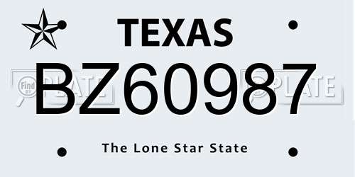 BZ60987 Texas License Plate