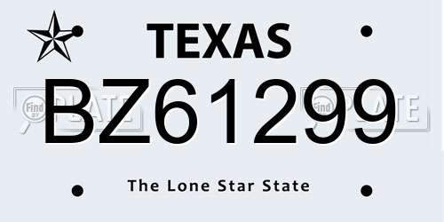 BZ61299 Texas License Plate