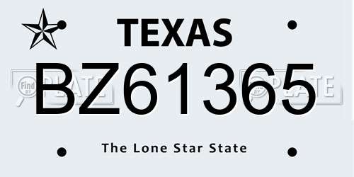 BZ61365 Texas License Plate