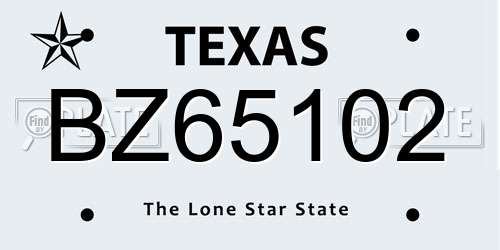 BZ65102 Texas License Plate