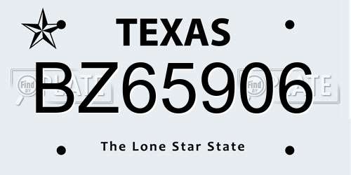 BZ65906 Texas License Plate