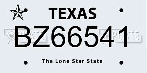 BZ66541 Texas License Plate